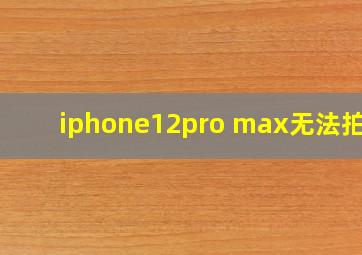 iphone12pro max无法拍照